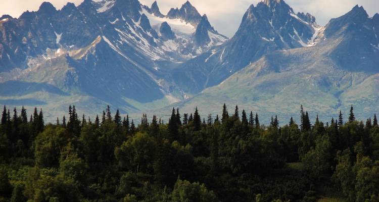 Canadian Rockies National Parks Panoramic Summer Tour from Calgary (with Airport Transfers) - Globerouter
