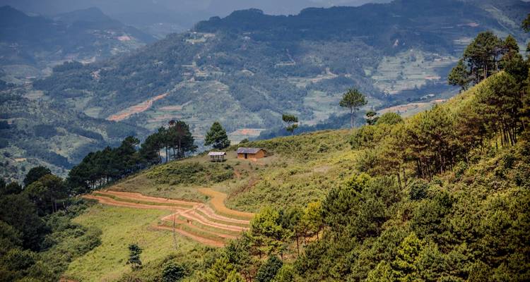 Collines en terrasses pittoresques avec de petites cabanes et des champs.