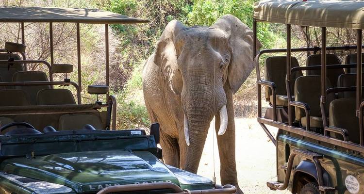 7 Nights 8 Days Kafue National Park and Victoria falls Package (3 destinations) - Sigo Adventures & Tours