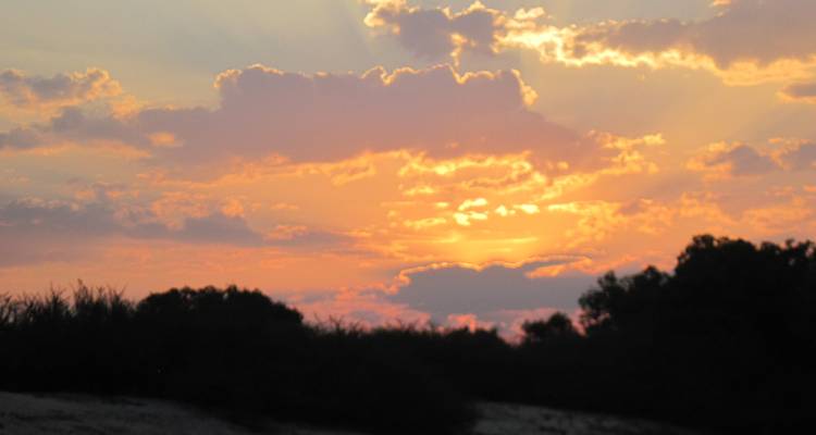 Intondolo Safaris Multi Days - 9 Nights, 10 Days, Zimbabwe - Intondolo Safaris & Tours