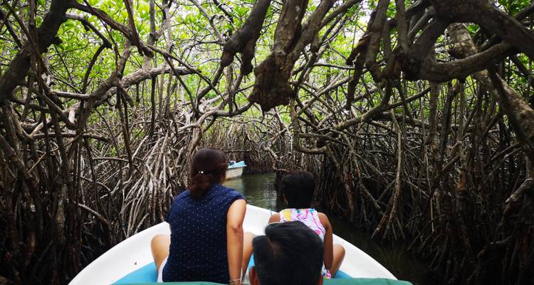 Personas en un bote navegando por los manglares.