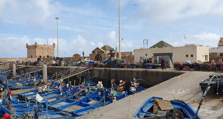 Puerto pesquero con barcos y gente trabajando.