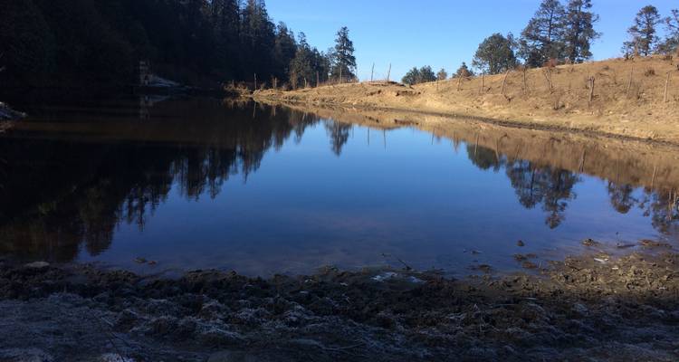Rustig meer dat de omringende bomen en landschap weerkaatst.