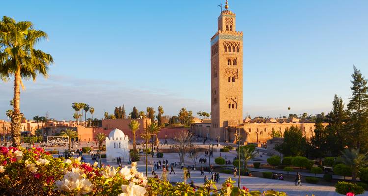 Panoramisch uitzicht op het belangrijkste plein van Marrakesh met de minaret van de Koutoubia-moskee die boven de palmentuin uittorent.