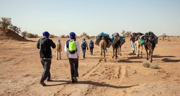 Groep die met kamelen door een woestijn loopt.