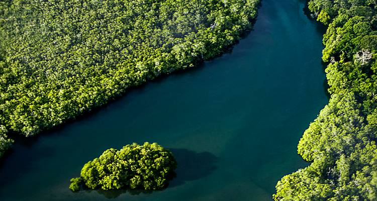 Luchtfoto van een kronkelende diepgroene rivier die door dicht tropisch regenwoud snijdt.