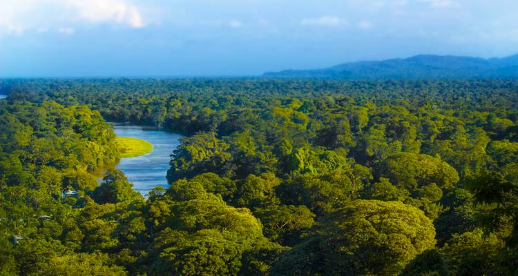 Uitgestrekt junglebladerwerk met een kronkelende rivier die in het zonlicht glinsters, gezien vanuit de lucht.