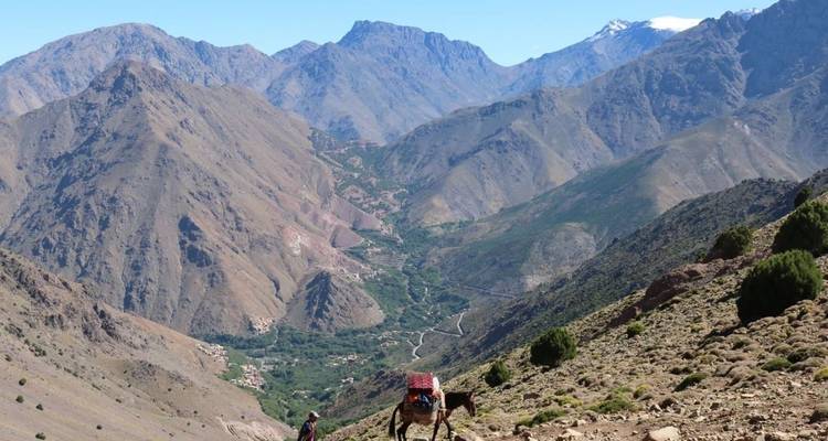 Mountain range with a valley and a small figure on a trail.