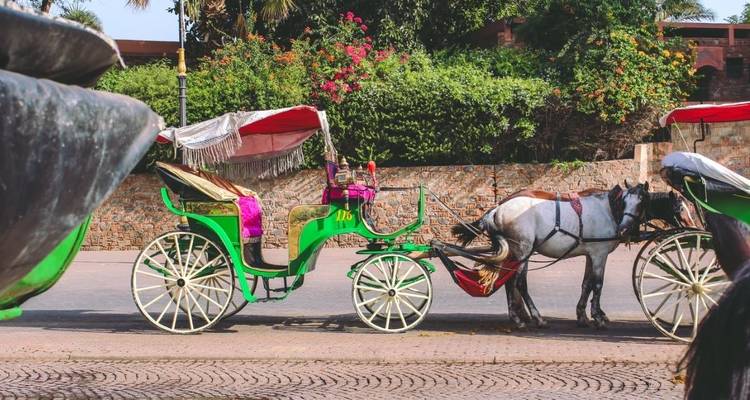 A colorful horse-drawn carriage in a city street.