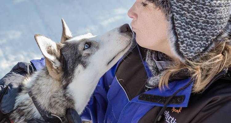 Smiling woman in winter gear receives a lick from a blue-eyed husky on snowy ground.