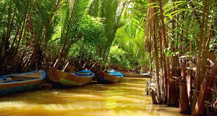 Pequeñas embarcaciones en un río tropical exuberante.