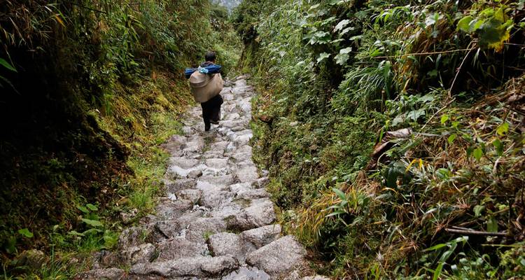 Un trekista con una mochila camina por un camino de piedra antigua rodeado de exuberante vegetación en el Camino Inca.