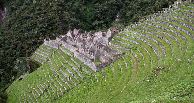 Las ruinas de piedra en terrazas de Winay Wayna descendiendo por las pronunciadas laderas verdes en medio de la densa selva nubosa.