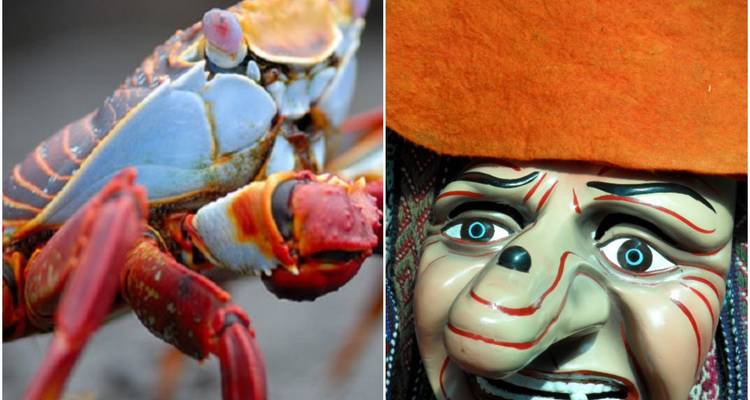 Collage van afbeeldingen die een krab en een masker tonen.