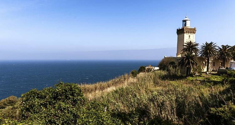 Ein Leuchtturm mit Blick auf den Ozean, umgeben von Palmen.