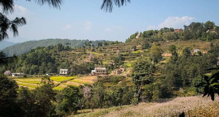 Terrassenfelder und verstreute Häuser in einer hügeligen Landschaft.