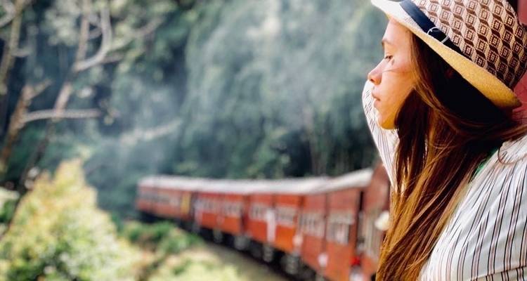 Una mujer disfrutando de un viaje escénico en tren a través de un paisaje exuberante.