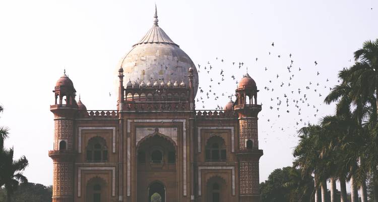 Graf omringd door vliegende vogels.