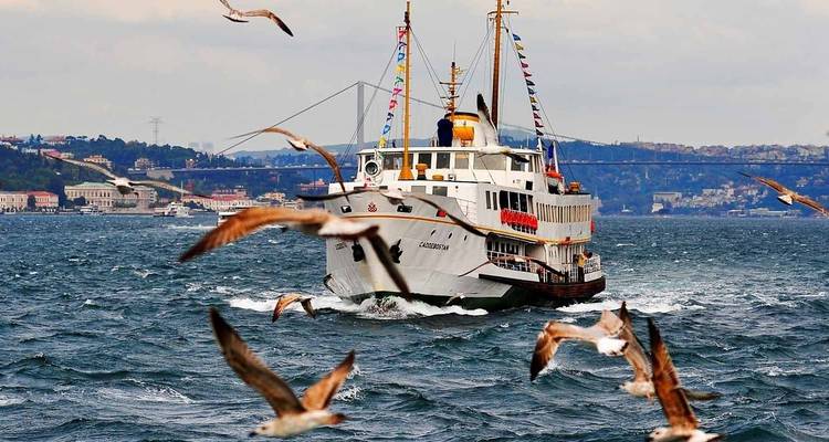 Boat traveling on a body of water with seagulls flying nearby.