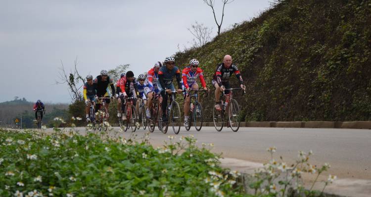 Radfahrer, die auf einer von grünem Laub umgebenen Straße fahren.