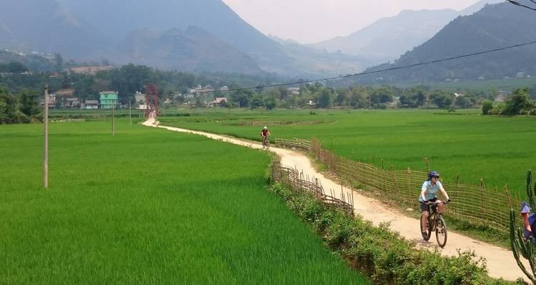 Fietser op een zandpad door weelderige groene rijstvelden met heuvels in de verte.