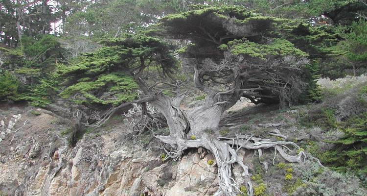 West Coast USA Adventure - Scenic Luxury Cruises & Tours