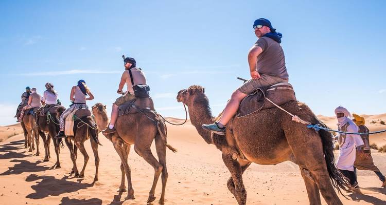 Touristen bei einem Kamelritt durch die Wüste.