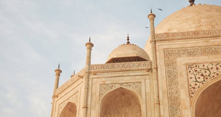 Primer plano de la arquitectura del Taj Mahal con siluetas de pájaros en el cielo.