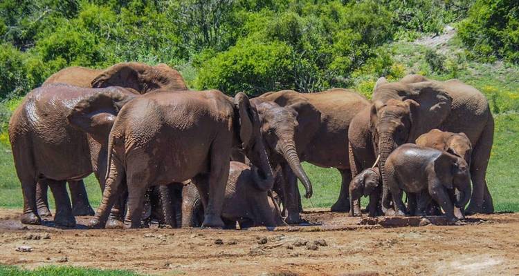 7 Days 6 Nights Budgeted Escape to Mozambique Adventure - Across Africa Tours & Travel