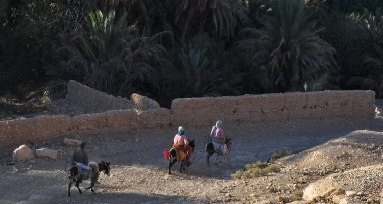 Trois personnes chevauchant des ânes sur un sentier rural avec des palmiers.