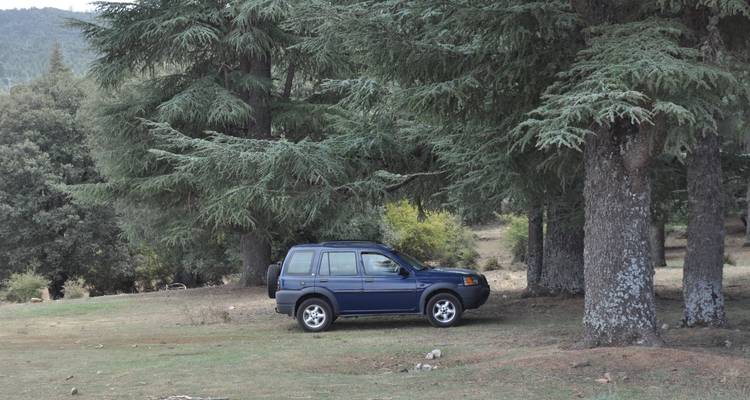 Un SUV bleu garé parmi de grands arbres dans une zone forestière.