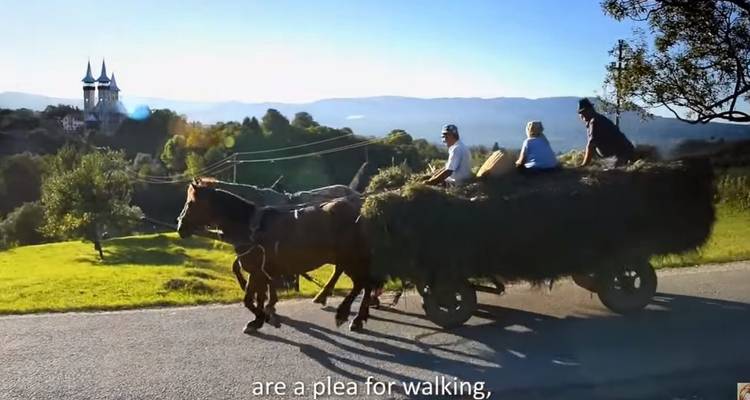 Paard-en-wagen met tekstoverlay
