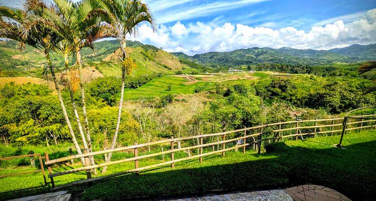 Paisaje verde exuberante con montañas al fondo.