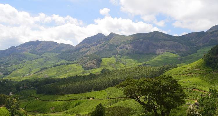 Een uitgestrekte vlakte van groene heuvels met heldere luchten.