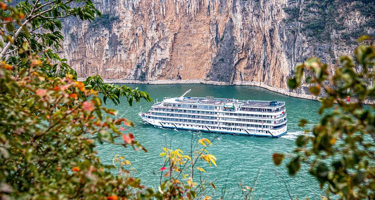Wit cruiseschip met meerdere dekken dat door een groene kloof vaart, omgeven door herfstbladeren.