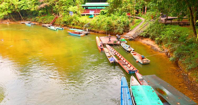 Des bateaux amarrés le long d'une rivière avec une végétation luxuriante.