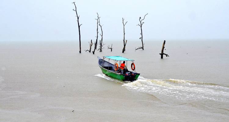 Bateau sur une étendue d'eau calme avec des arbres nus et du brouillard.