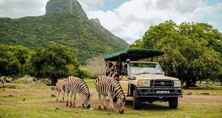OpenluchtSafari-truck met toeristen die zebra's gadeslaan die grazen onder een weelderige berg