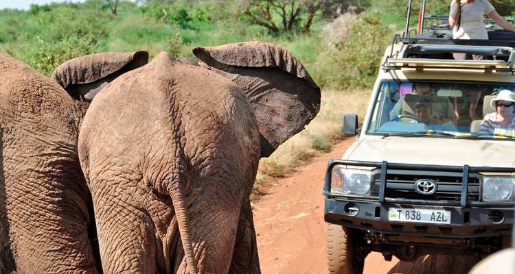 Un elefante caminando cerca de un vehículo de safari con turistas.