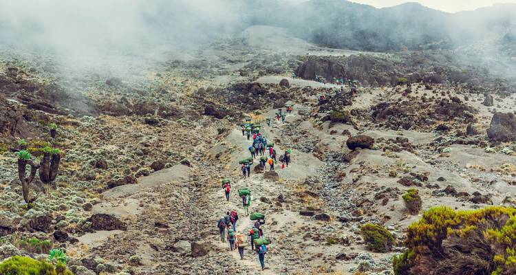 Une longue file de trekkers gravit un sentier aride et rocheux à travers un paysage brumeux en haute altitude sur le Kilimandjaro.