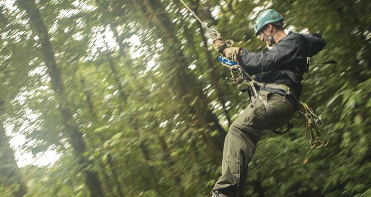 Un hombre se desliza rápidamente en una tirolesa a través de una densa selva tropical usando equipo de seguridad.