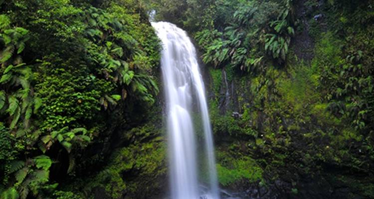 Waterval omgeven door weelderig groen.