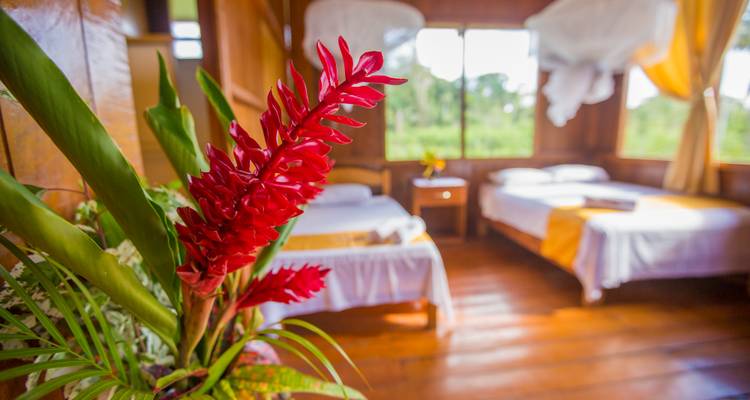 Hermoso ambiente de habitación con flores rojas y vista al verdor exterior.