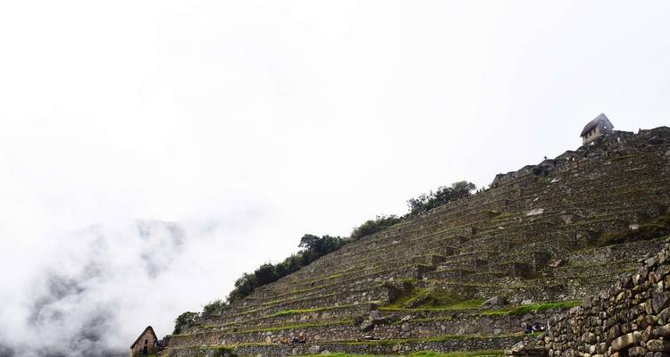 Blick auf terrassierte Strukturen, die in neblige Wolken aufsteigen.