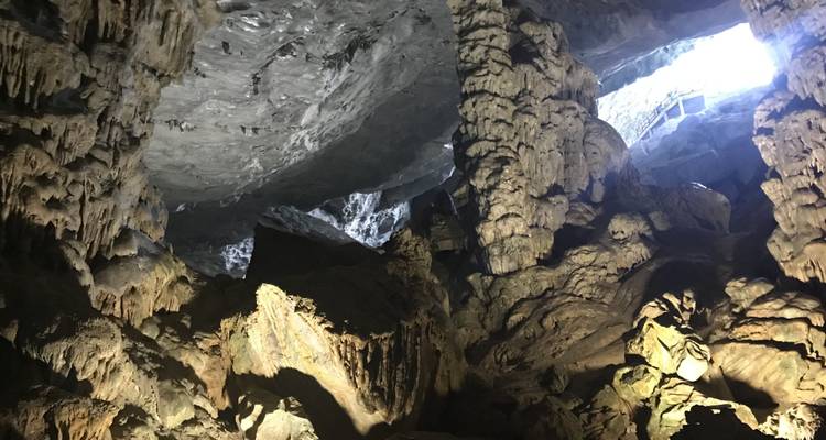 Intérieur de grotte avec stalactites et lumière naturelle.