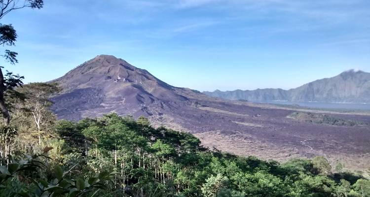 Vue panoramique du mont Batur entouré d'une végétation luxuriante