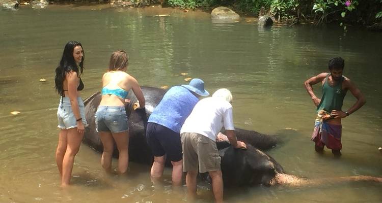 Personnes baignant un éléphant dans une rivière.
