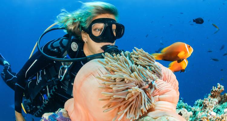 Plongeur sous l'eau avec des poissons et du corail.
