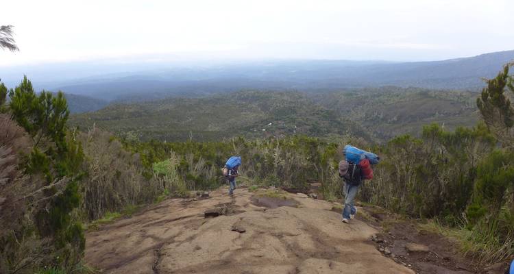 Excursionistas descendiendo por un sendero de montaña con bosque abajo.