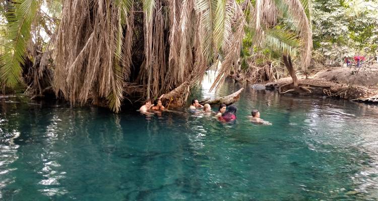 Gruppe von Menschen, die in einem natürlichen Pool schwimmen, umgeben von Palmen.